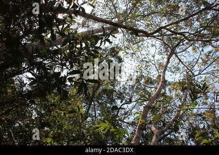 phou khao khouay park in laos Stock Photo