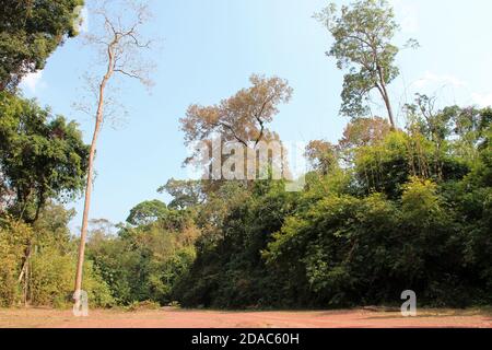 phou khao khouay park in laos Stock Photo