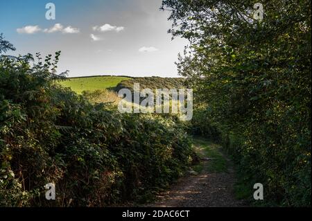 View of Devon landscape Stock Photo