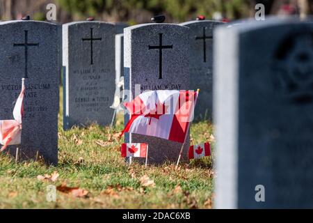 Remembrance Day celebration with no parade and limited attendance at the London Cenotaph (Nov 11, 2020) Stock Photo