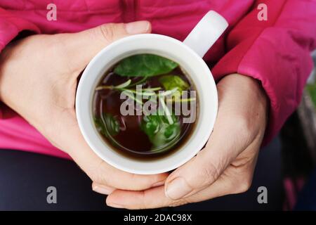 Porcelain mug with hot beverage containing herbs and green leaves. Hands only. Top down view. Close up. Stock Photo