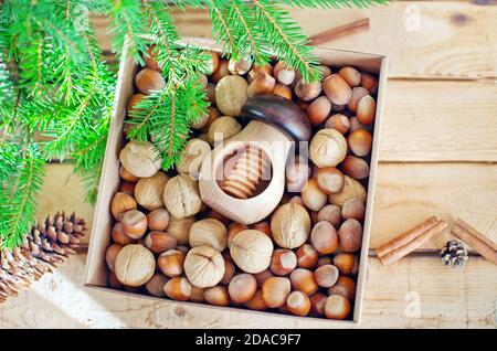 Box with two kind of nuts in shell: walnuts, hazelnuts and mushroom shaped nutcracker on rustic wooden background decorated with fir branch, cones and Stock Photo
