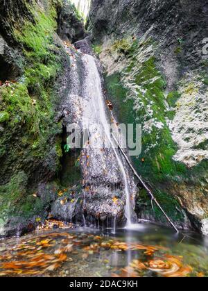 A vertical shot of the beautiful waterfall in the forest Stock Photo ...