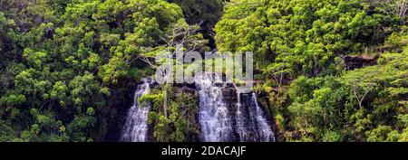 Beautiful panoramic view of Opaekaa Waterfalls in Hawaii, island of Kauai. Lush green tropical forest around the waterfall. Stock Photo