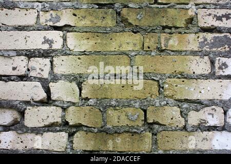 Brick wall with moss growing out of it. old brick wall close up Stock Photo