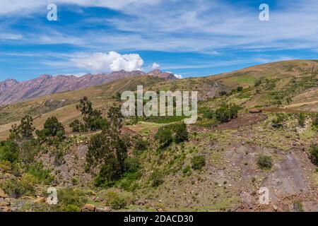 Agricultural landscape in the Maragua region, Departemento Sucre, Cordillera Central, Andes, Bolivia, Latin America Stock Photo