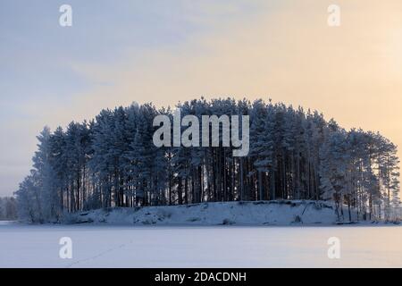 Landscape with snowy pine trees on a lake island at winter season, sunset over icy surface Stock Photo