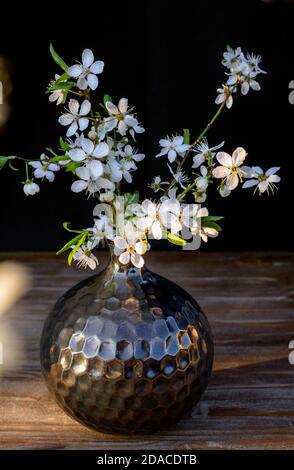 Bouquet of Sour cherry (Prunus cerasus) flowers in a brown vase on rustic wooden table Stock Photo