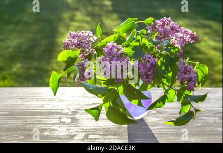 urple semi-transparent vase with lilac flowers on a rustic wooden table in the garden at spring morning after sunrise or at evening before sunset Stock Photo