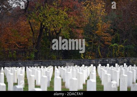 New York City, USA. 11th Nov, 2020. On Veterans Day, set against the fall colors of leaves, rows of military headstones occupy a section of Cypress Hills National Cemetery in the Brooklyn borough of New York, NY, on November 11, 2020. (Anthony Behar/Sipa USA) Credit: Sipa USA/Alamy Live News Stock Photo