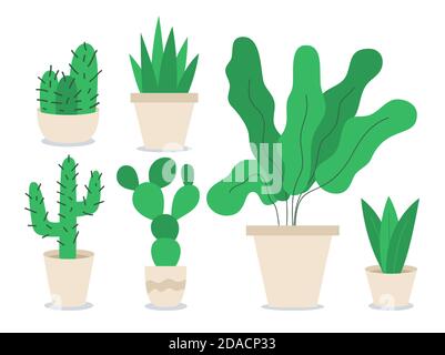 Different houseplants flat color vector objects set. Decoration for home office. Flower in container. Variety of potted plants 2D isolated cartoon ill Stock Vector