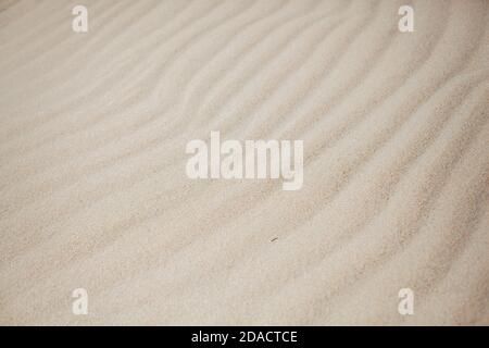 Sand texture. Sandy beach for background. Top view. Stock Photo