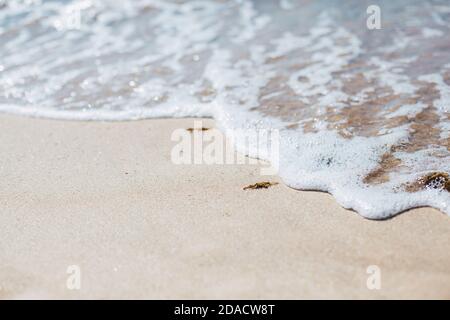 Soft blue ocean wave on sandy beach. Background. Stock Photo