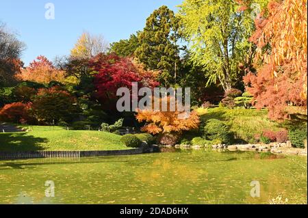 Autumn - Brooklyn Botanic Garden, Japanese Hill & Pond Garden Stock Photo