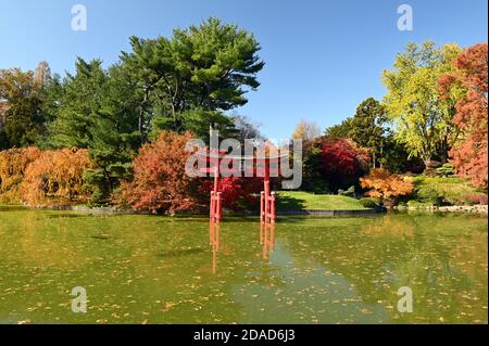Autumn - Brooklyn Botanic Garden, Japanese Hill & Pond Garden Stock Photo