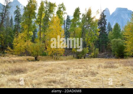 Fall Colors in Yosemite National Park