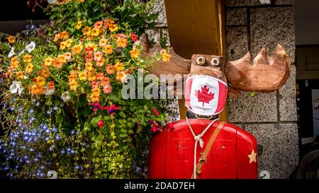 Wooden Statue of a Moose in a Mountie Uniform with a Canadian Maple Leaf Face Mask Stock Photo