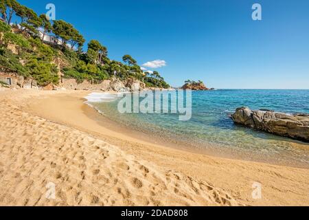 Beach Cala Belladona Platja D’aro Costa Brava Catalonia Spain Stock 