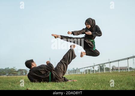 A Sensei Karateka Instructor Performs A Perfect Flying Kick Stock Photo,  Picture and Royalty Free Image. Image 172286239.
