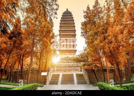 韓国人間国宝 李殷高麗柿天目茶入 共箱 高さ6.3cm 東H6-0114①