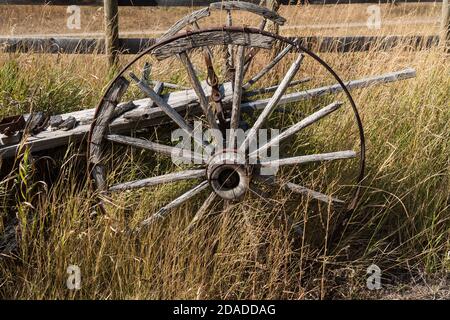 A broken-down old pioneer wagon with wooden-spoke wheels on a ranch in Idaho.  Now part of a private museum. Stock Photo