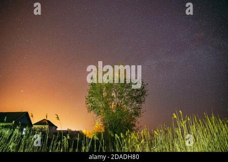 Milky Way Galaxy In Night Starry Sky Above Young Green Lonely Tree In Spring Night. Glowing Stars Above Landscape. Sunset Sunrise Dawn Colors Sky Stock Photo