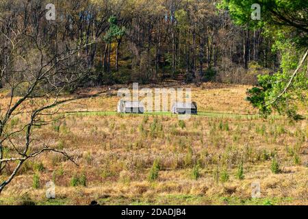 Two Reproduction Log Huts in a Large Field in Valley Forge National Historical Park Stock Photo