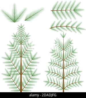 Pine fir flat elements to create christmas tree Stock Vector