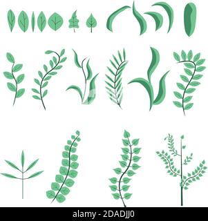Set of decorative plants and leafs , flat design , green color collection Stock Vector