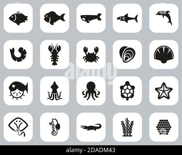 Sea Life & Seafood Icons Black & White Flat Design Set Big Stock Vector