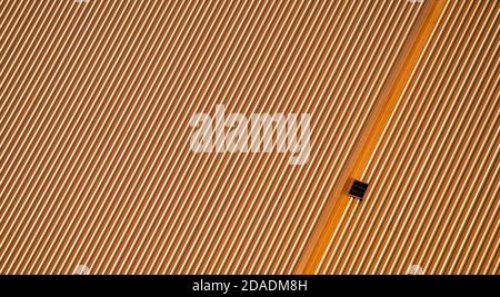 pattern orange wall of a modern building abstract background Stock Photo