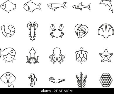 Sea Life & Seafood Icons Black & White Thin Line Set Big Stock Vector