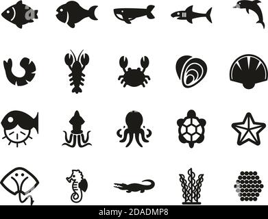 Sea Life & Seafood Icons Black & White Set Big Stock Vector