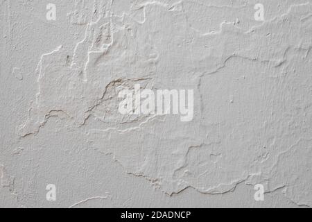 Gray white rough abstract stucco texture for background. texture of the gray stucco. Abstract concrete background - in the form of a rough covered wit Stock Photo