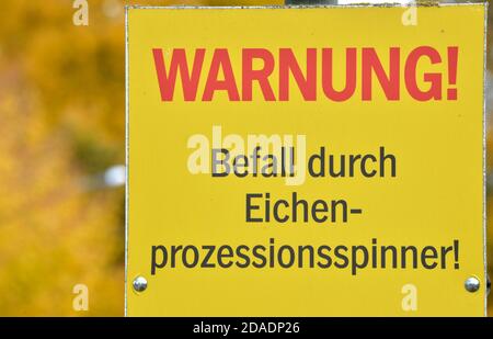 Teltow, Germany. 28th Oct, 2020. Warning! Infestation by oak procession moth!' is written on a sign in a village near Teltow. The insect has caused increasing forest damage in recent years. Credit: Volkmar Heinz/dpa-Zentralbild/ZB/dpa/Alamy Live News Stock Photo