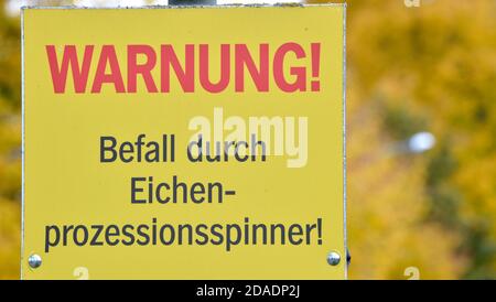 Teltow, Germany. 28th Oct, 2020. Warning! Infestation by oak procession moth!' is written on a sign in a village near Teltow. The insect has caused increasing forest damage in recent years. Credit: Volkmar Heinz/dpa-Zentralbild/ZB/dpa/Alamy Live News Stock Photo