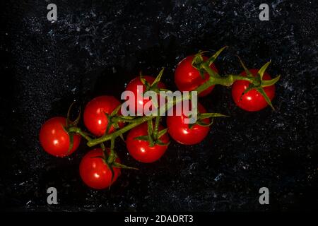 Vine of tomatoes on the black ice. Stock Photo