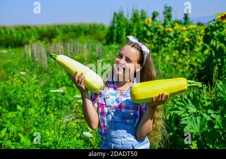 Taking care of nature. small girl farming in summer farm. happy childrens day. childhood happiness. portrait of happy kid with vegetable marrow. cheerful retro child hold big marrow squash. Stock Photo