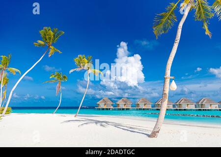 Perfect tropical beach landscape. Beautiful beach with palm trees and moody sky. Summer vacation travel holiday, water villas, luxury destination Stock Photo