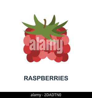 Raspberries icon. Simple element from fruits collection. Creative Raspberries icon for web design, templates, infographics and more Stock Vector