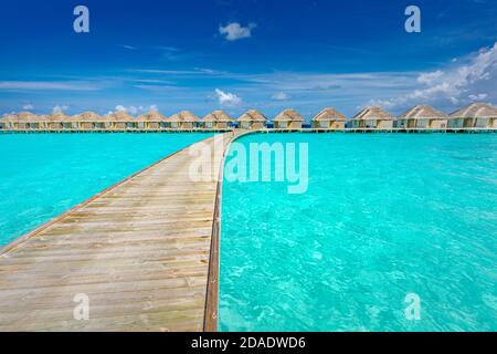 Tropical Maldives island with coconut palm tree, wooden bridge and water villa. Exotic travel landscape. Beautiful summer island paradise, peaceful Stock Photo