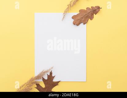 Simply autumn composition, layout with white blank canvas, tree leaves and dry grass, space for text Stock Photo