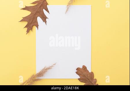 Simply autumn composition, layout with white blank canvas, tree leaves and dry grass, space for text Stock Photo