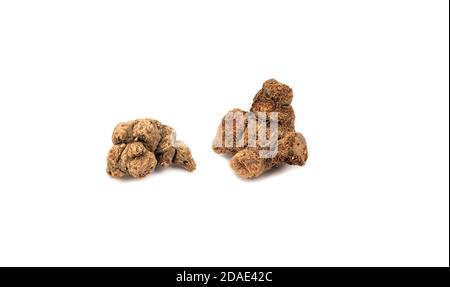 Two pieces of galangal root isolated on white background. Stock Photo