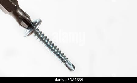 Self-cutters and screwdriver on a white background with space for text. Screw with thread - fasteners for construction, tools and accessories repair Stock Photo