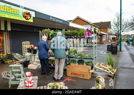An elderly couple  buying bedding and pot plants at a local greengrocers shop in Marske by the Sea North Yorkshire Stock Photo