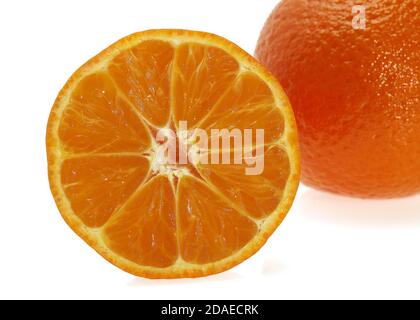 CLEMENTINE FRUIT citrus reticulata AGAINST WHITE BACKGROUND Stock Photo