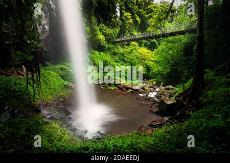 Beautiful Crystal Shower Falls in the rainforest of Dorrigo National Park. Stock Photo