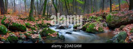 The river Sembera sources near to community of Jevany, Central Bohemia in an altitude of 415 m.