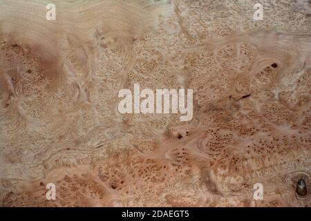 Nature marble burl wood striped is a wooden beautiful pattern for crafts Stock Photo